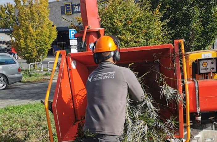 Beispielarbeit von Stems Gebäudeservice GmbH  - veröffentlicht auf Gartenbau.org
